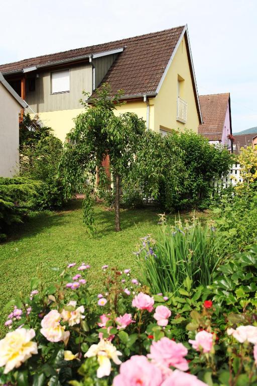 La Maison Du Vignoble Mittelwihr Exterior foto